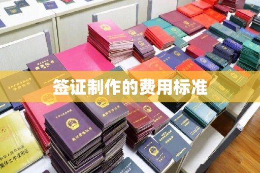 黄石港签证制作的费用标准