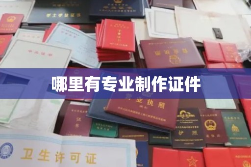黄石港哪里有专业制作证件