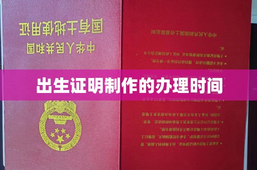 黄石港出生证明制作的办理时间